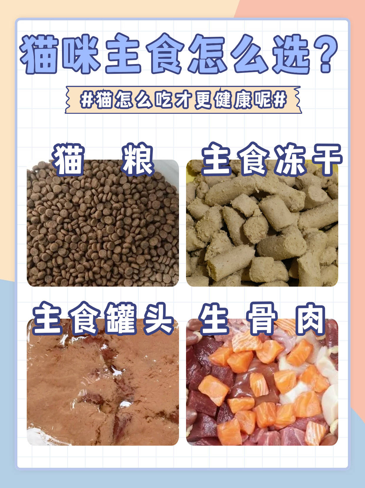 猫咪主食怎么选?猫怎么吃才更健康呢?-搜狐大视野-搜狐新闻