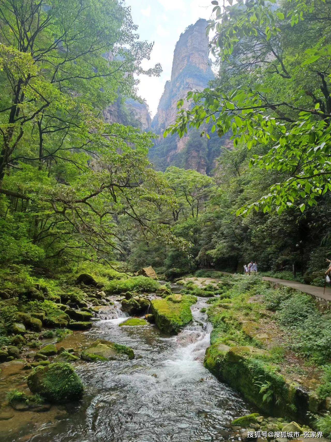 去张家界旅游想把景点都玩到,行程怎么安排合理,大概要花多少钱?