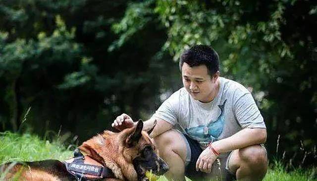 汶川地震"英雄警犬"沈虎:靠压缩饼干支撑救出15人,后来怎么样了