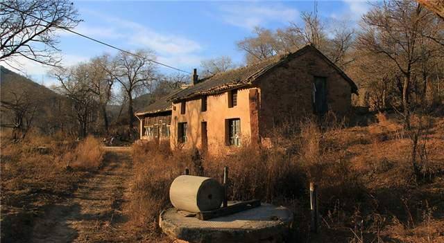 "最"漂亮的美女死囚:行刑前一直淡定自如,为何突然主动开口_任雪_法律