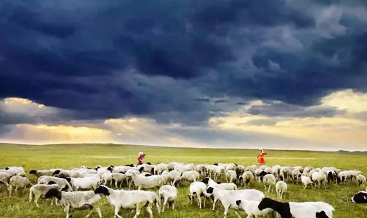 56年前的草原姐妹龙梅和玉荣,因保护羊群落下残疾,现状如何?