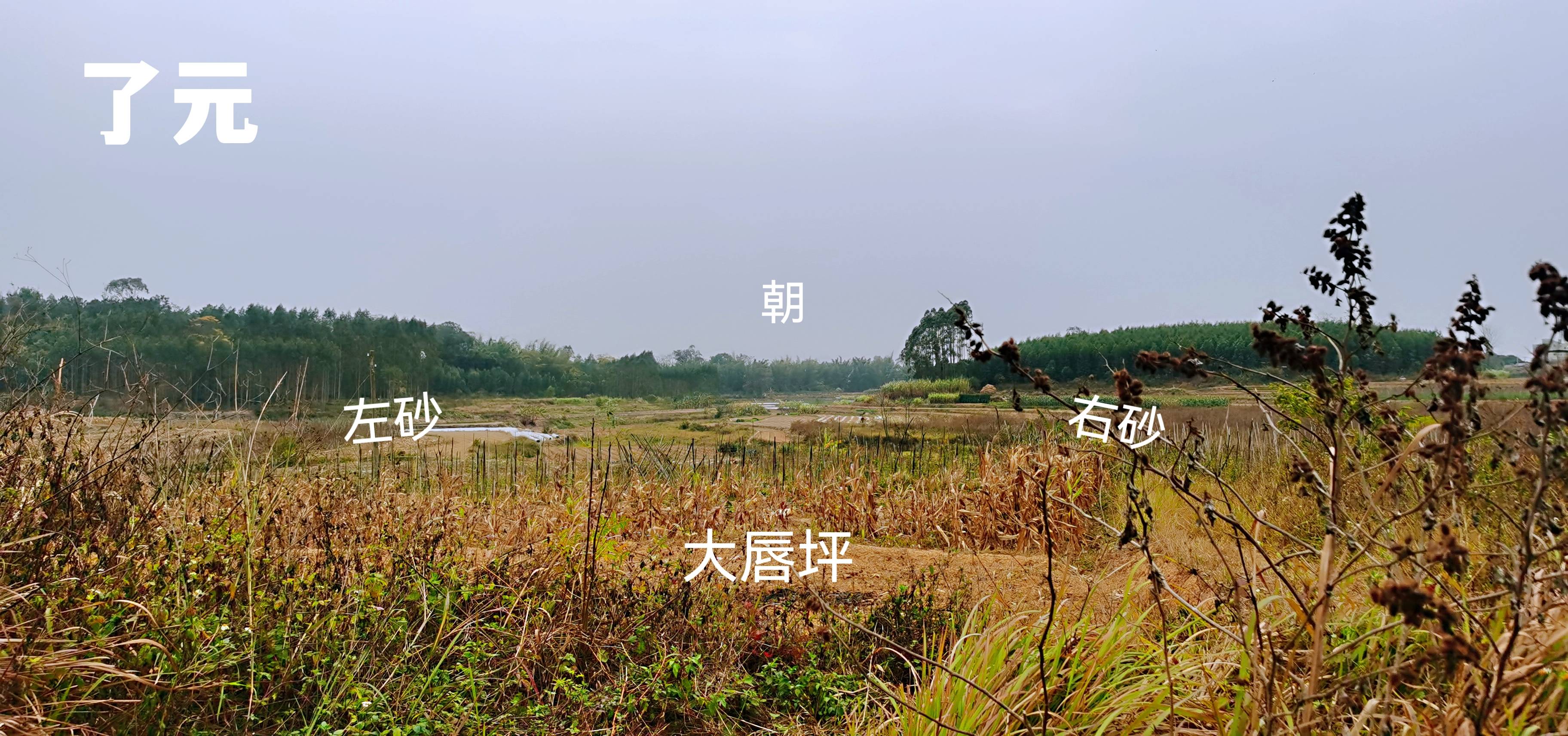 壁纸 成片种植 风景 植物 种植基地 桌面 3648_1712