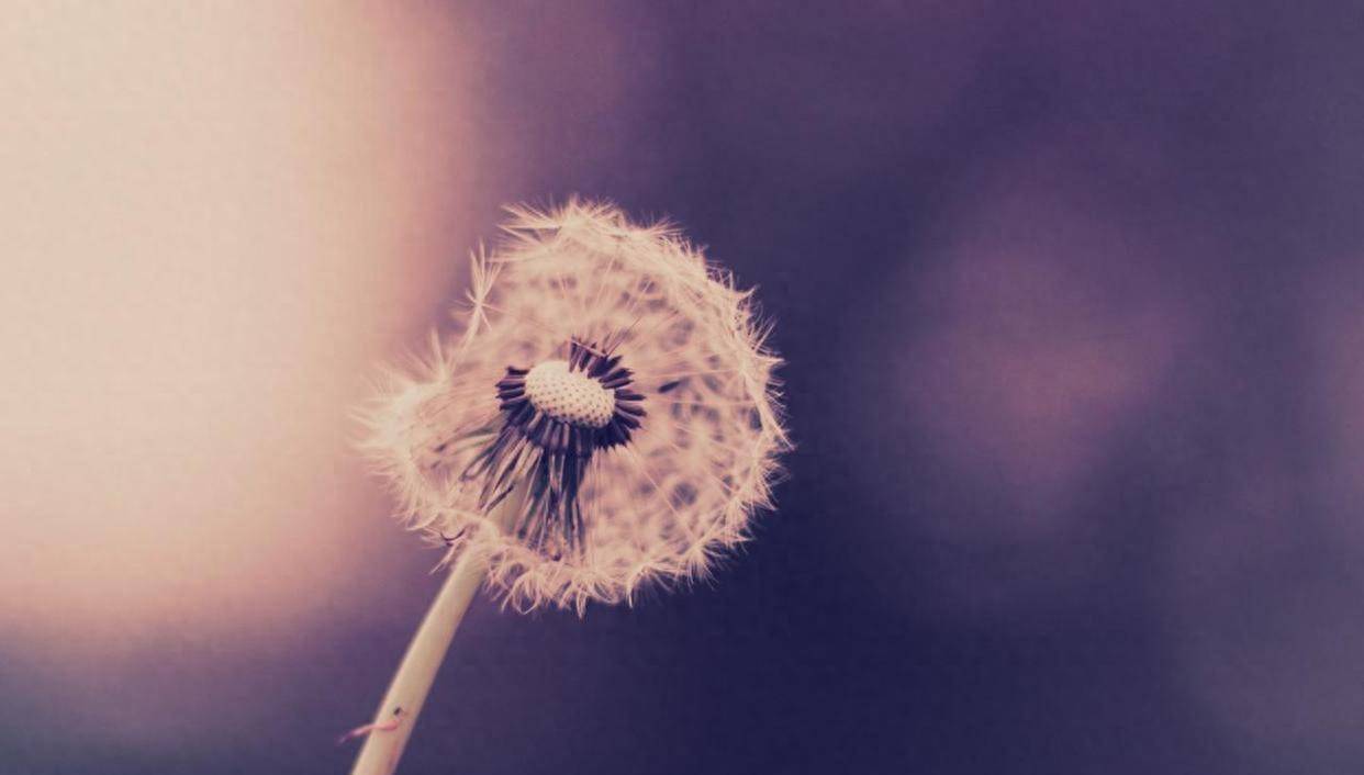 人活着的意义,就四个字!(精辟)