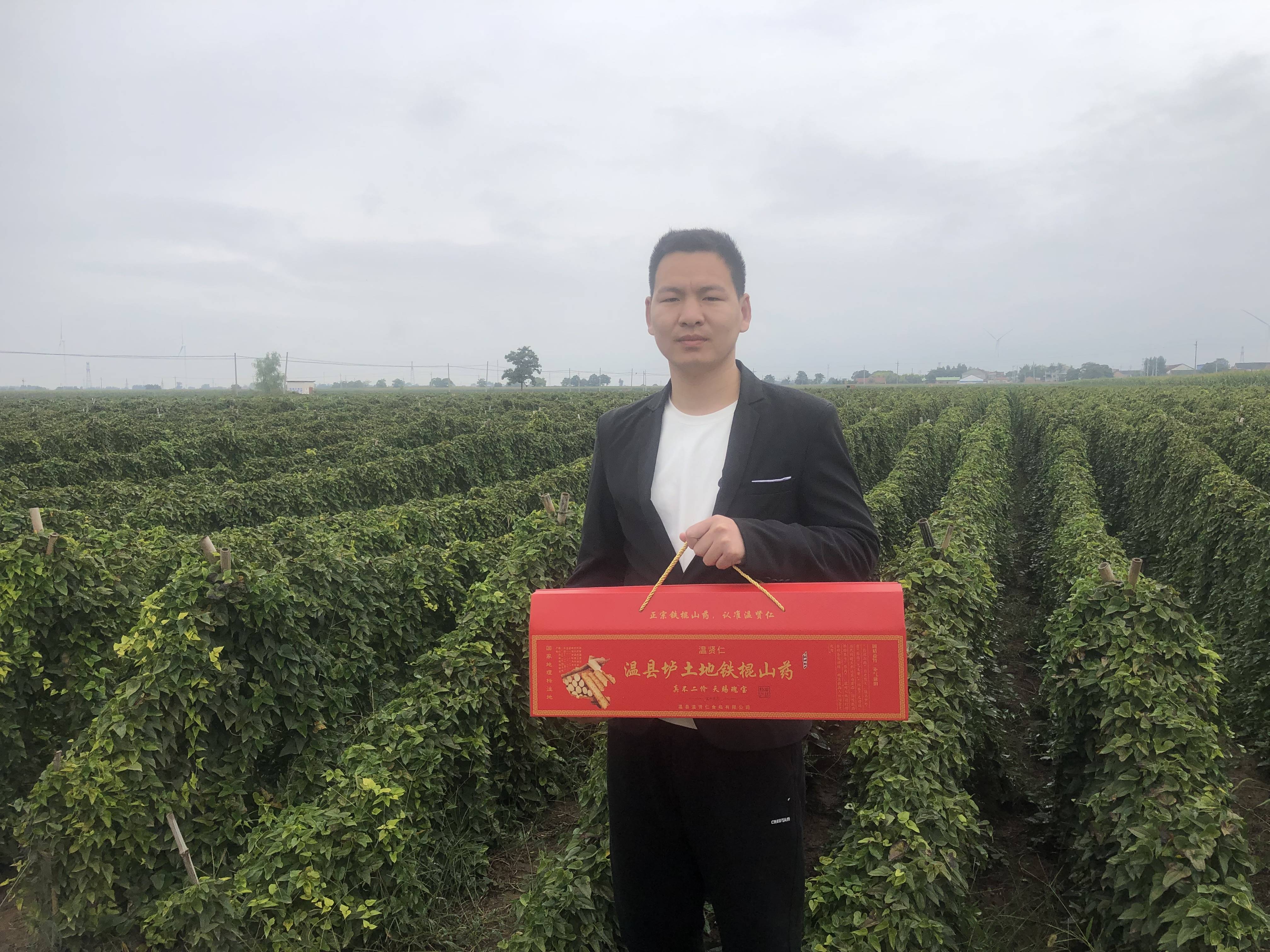 温县垆土铁棍山药:女性的自然美容秘籍,健脾养胃强肾纯正正宗道地养生