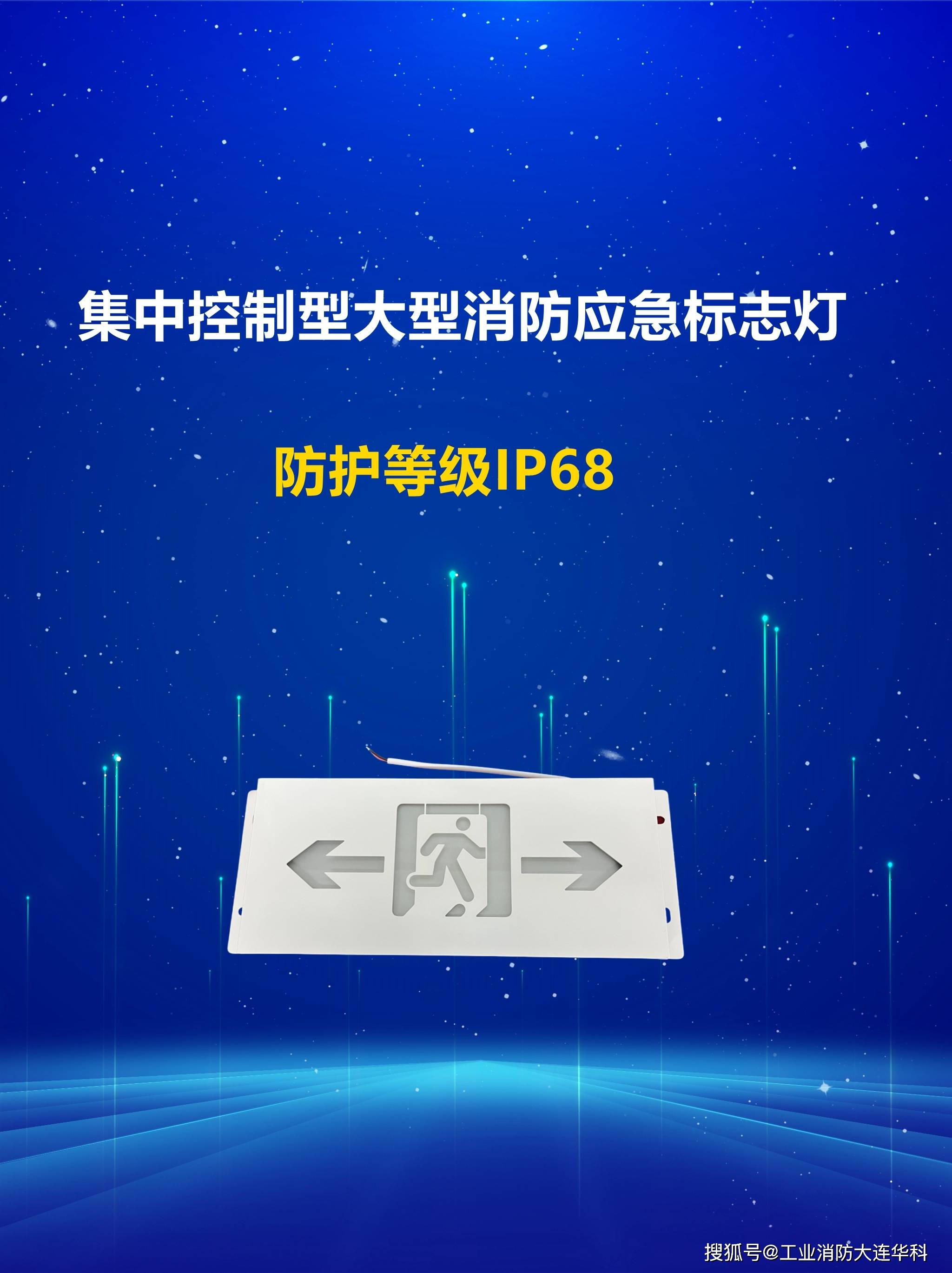 大型防爆集中控制型消防应急标志灯ip68