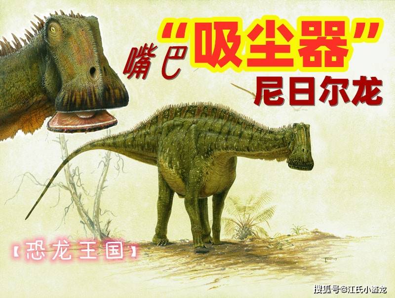 [恐龙王国]这种恐龙竟然长着吸尘器脑袋