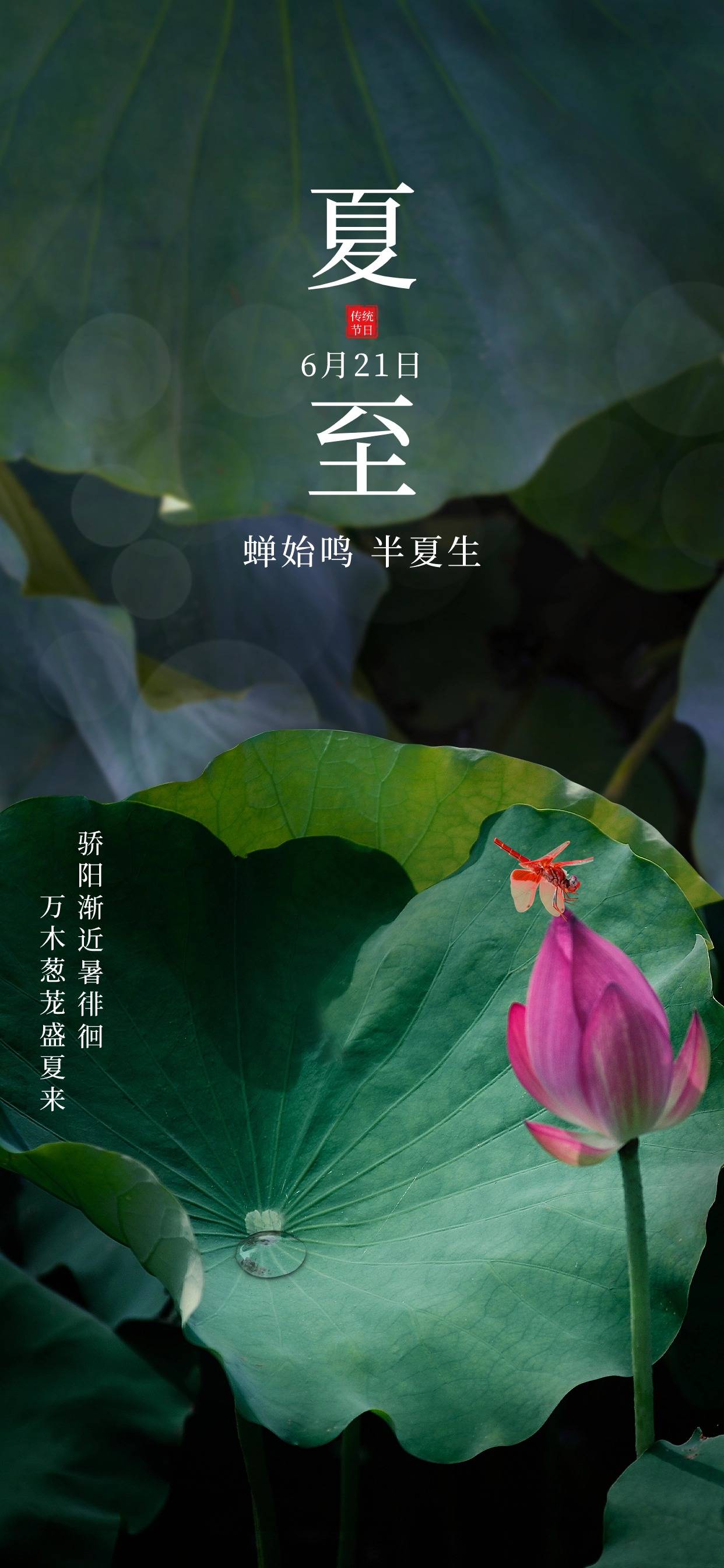 墨言教育丨六月借势海报——夏至