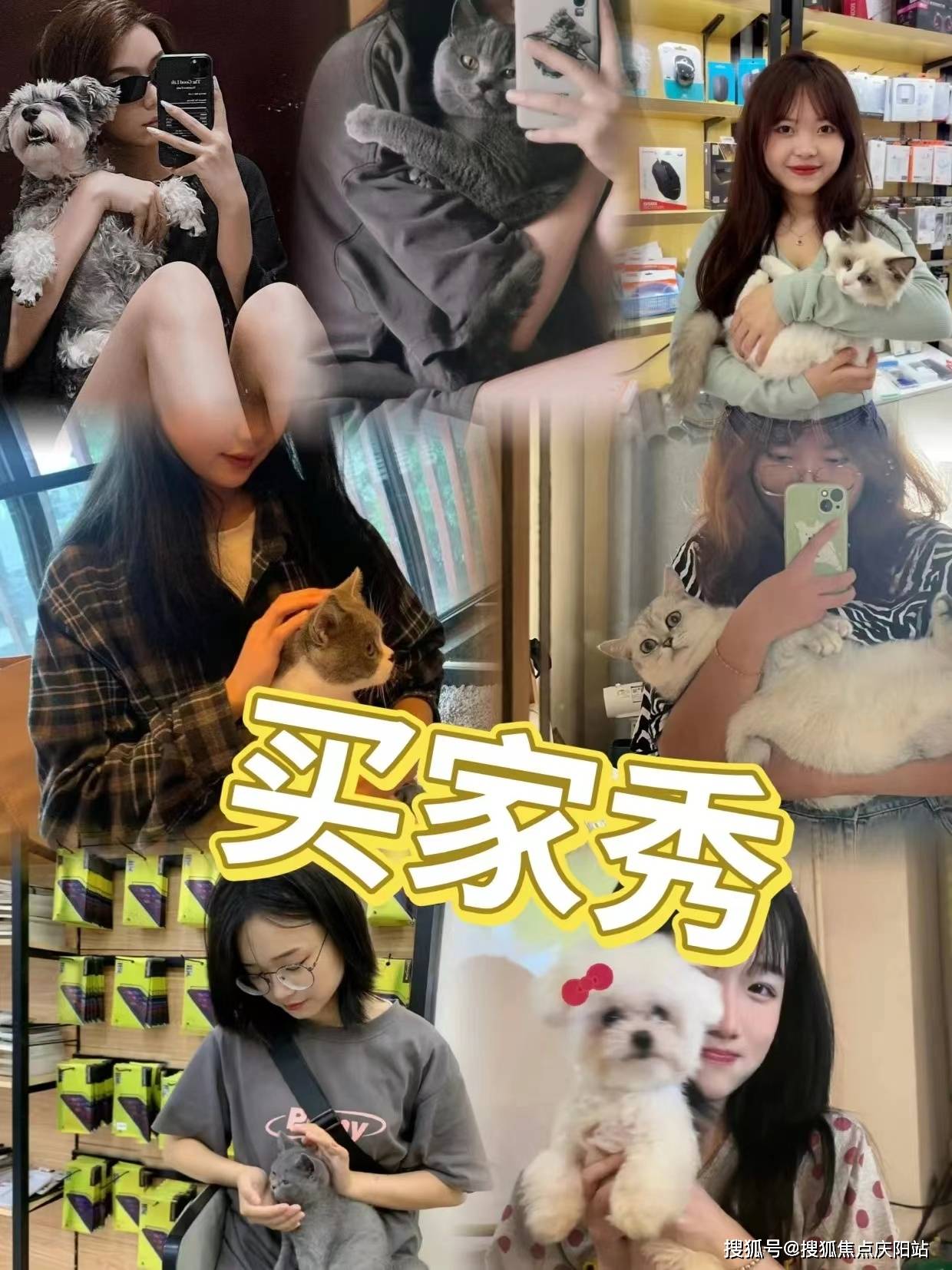 南京买英短蓝猫首页网站(南京雨花台区)买英短蓝猫的地方
