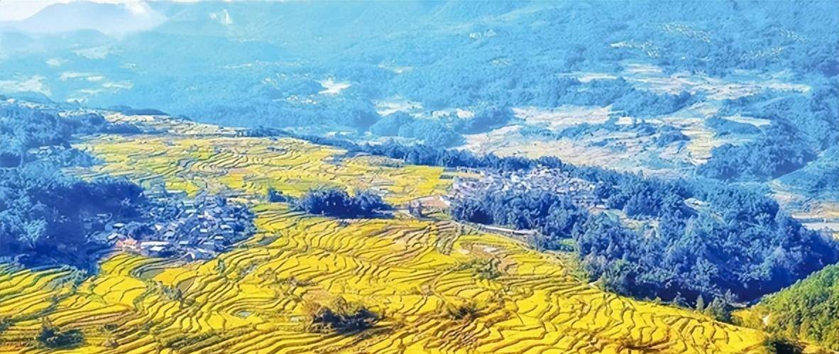 不但解决了本市上千年来的饥荒问题,还有能力供给其他缺粮县市.