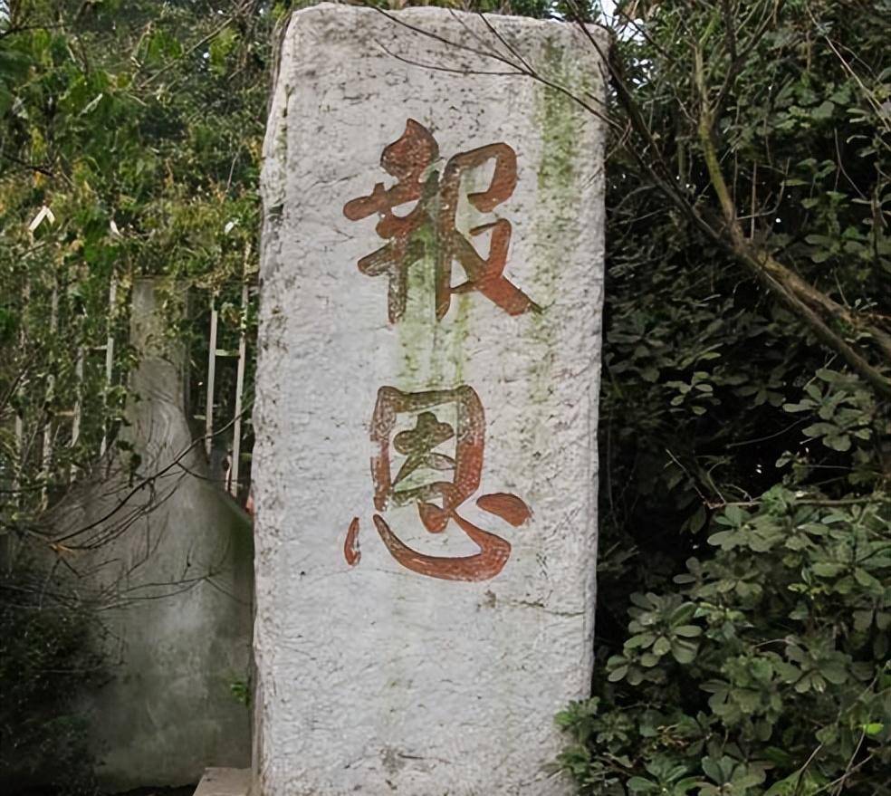 1981年,老将军张震40年后寻找救命恩人:当年的新娘子还活着吗