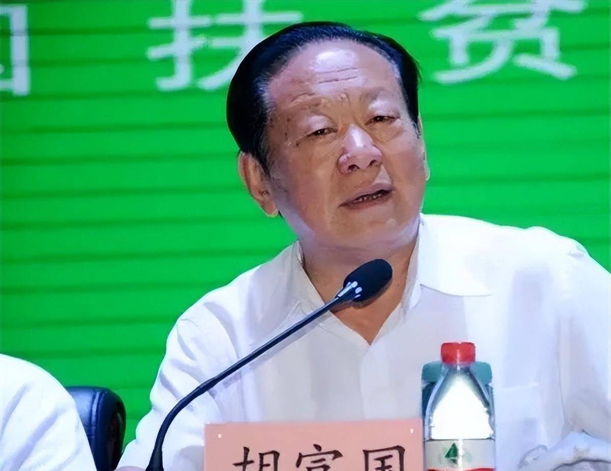 山西老书记胡富国1996年谈打团扫恶,全程脱稿,句句直白