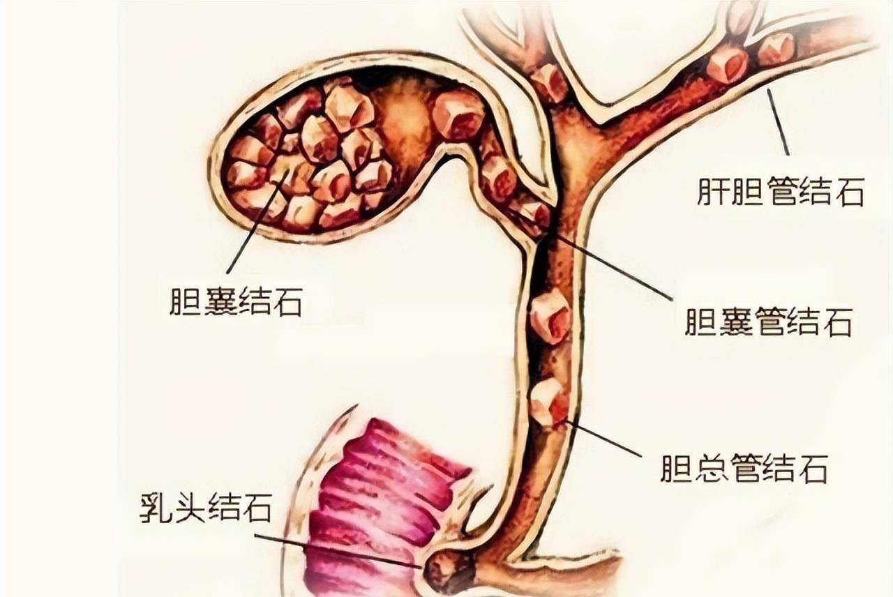 科学角度解释:舍利子究竟是什么?