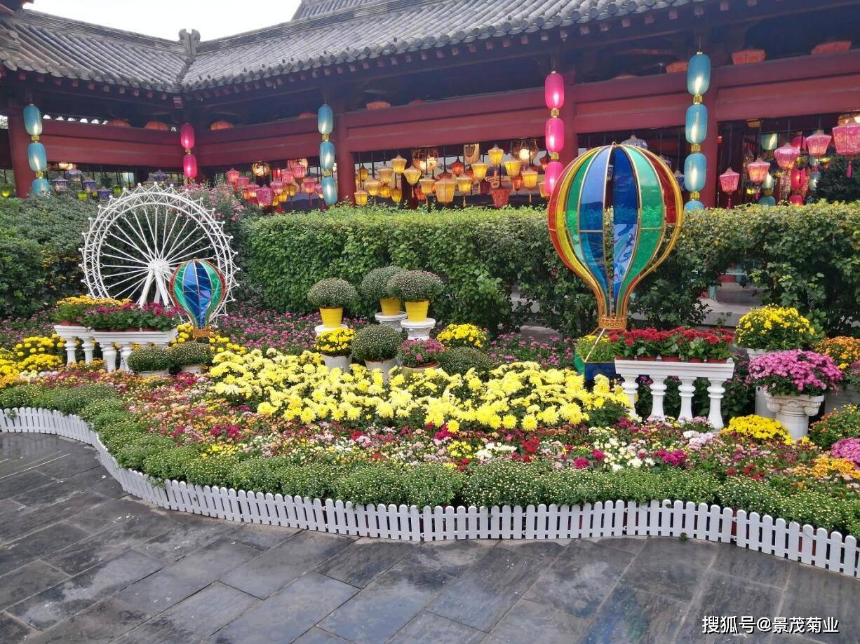 往届菊花展案例--2020年第九届清明上河园国际菊花展