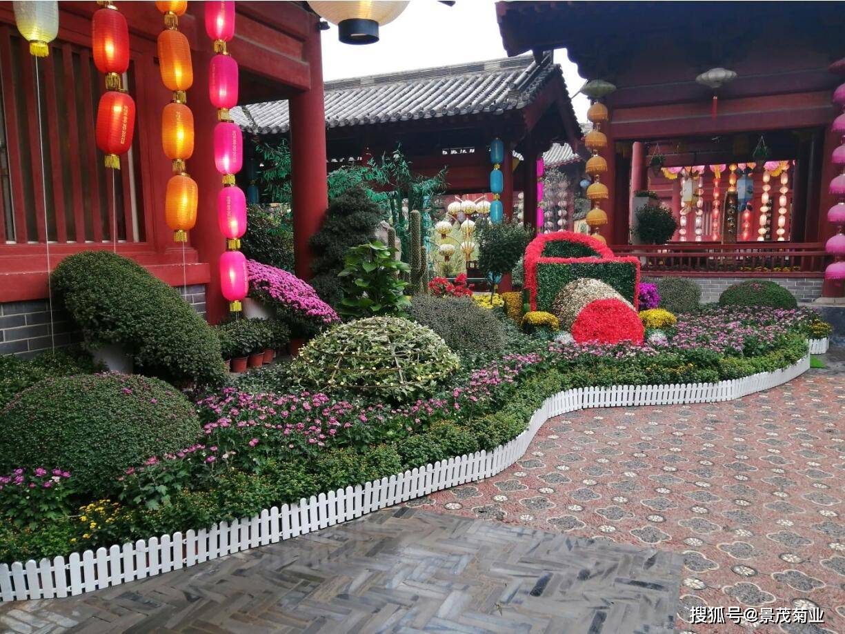 往届菊花展案例--2020年第九届清明上河园国际菊花展