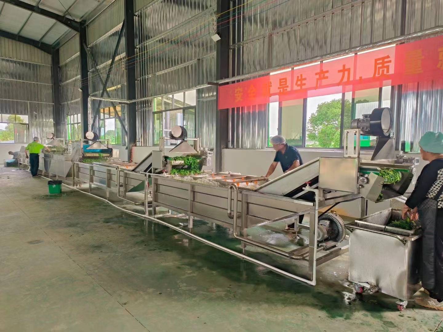预制菜加工设备 大型蔬菜清洗机半成品菜生产设备 净菜加工流水线