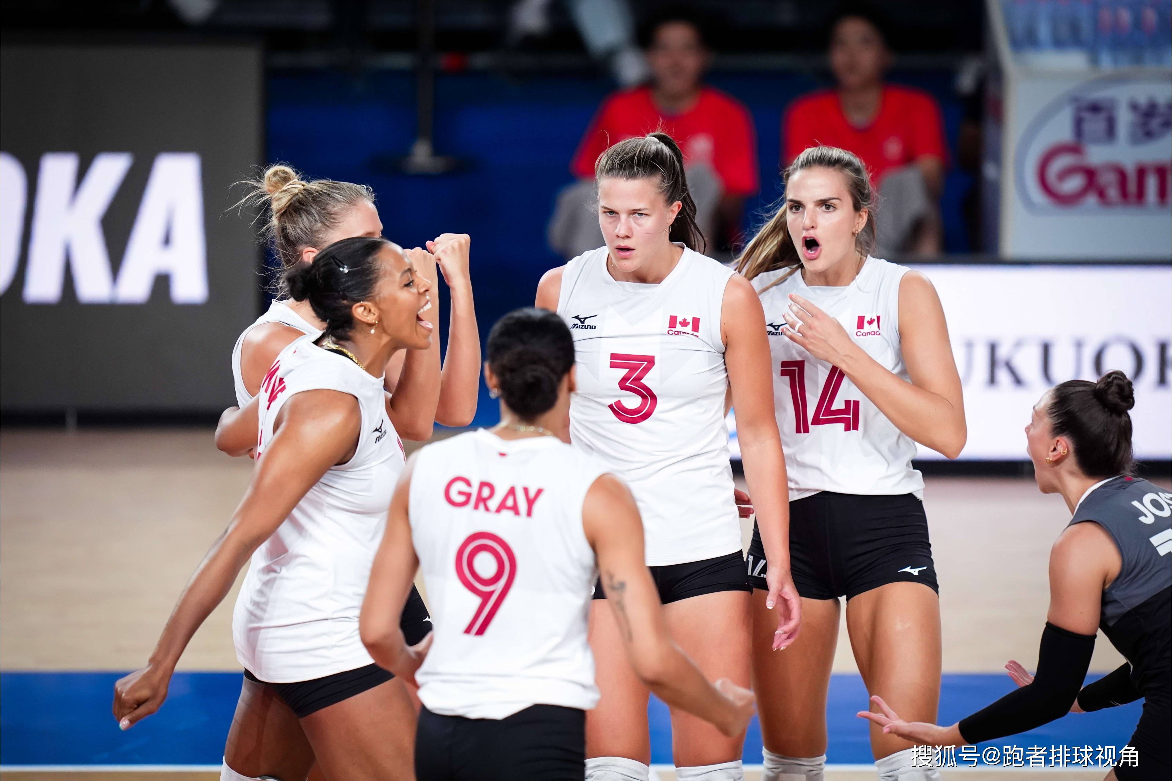 中国女排收获惊喜!感谢荷兰打崩加拿大,奥运名额之争结束