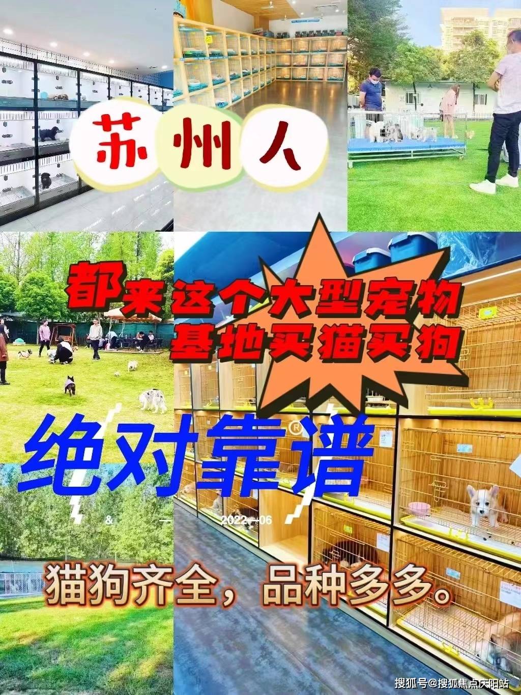 苏州福安家宠物店(姑苏店)位于:苏州姑苏区日规路28号旁(看宠提前咨询