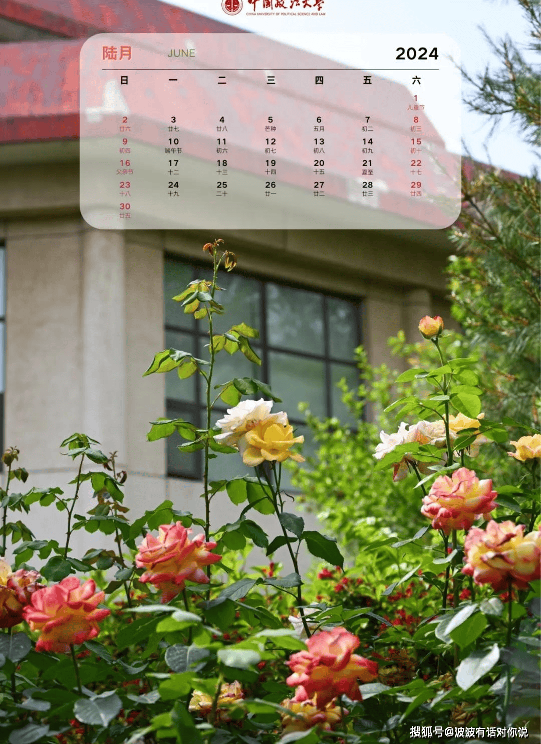 2024年中国政法大学法学本硕连读培养班招生简章