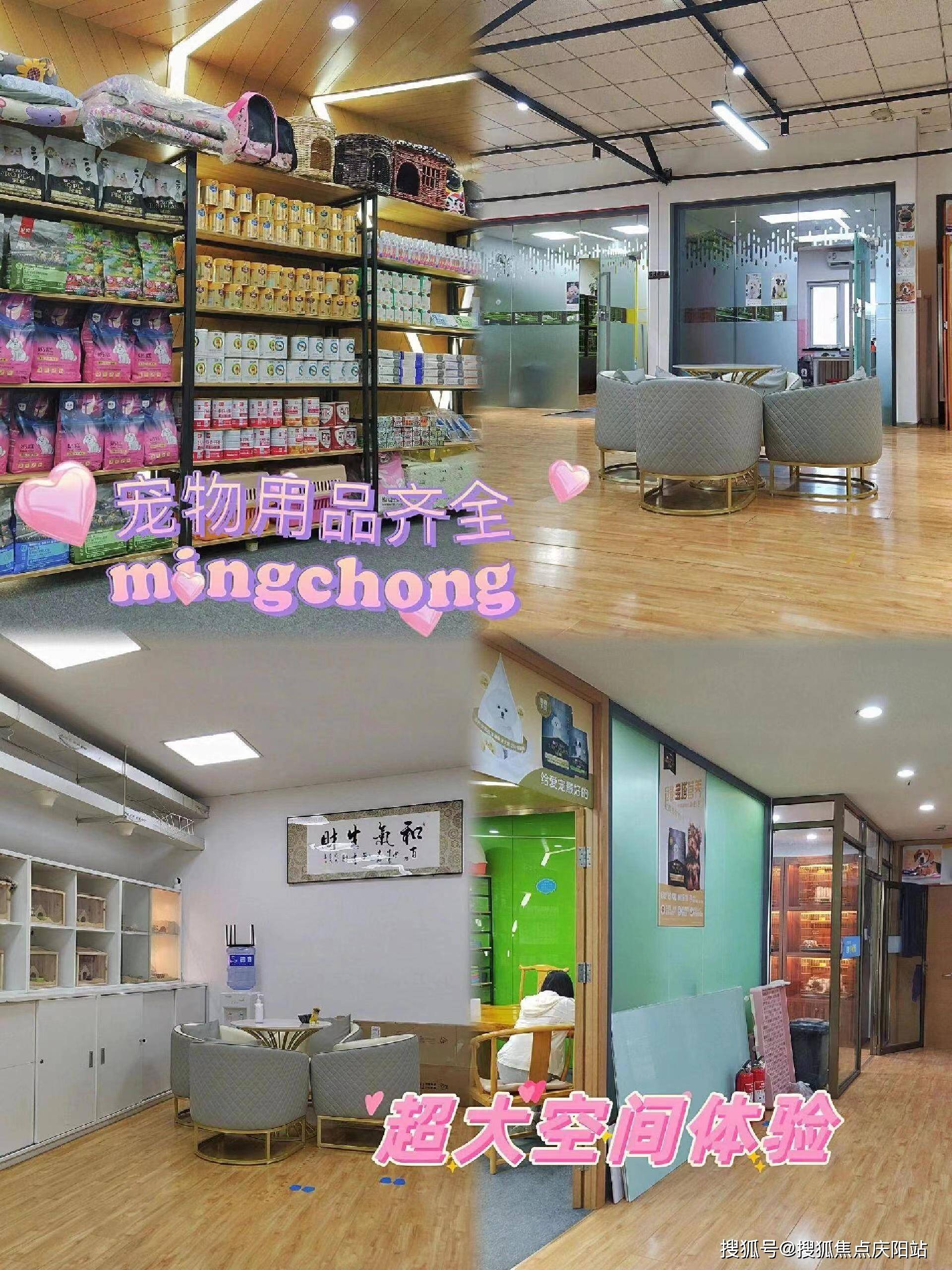 武汉买柯基犬多少钱一只(武汉硚口区)买柯基犬多少钱一只?