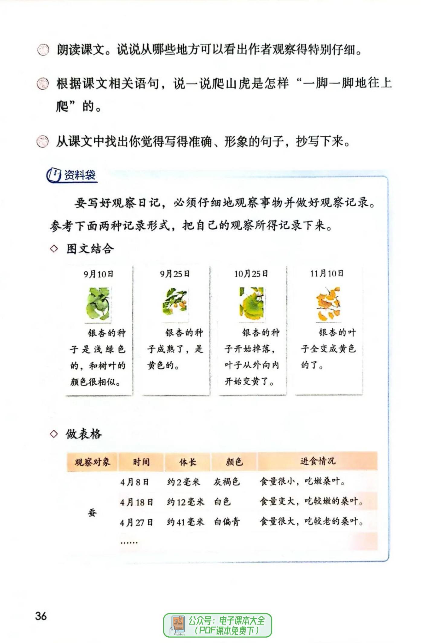 2024秋季最新版小学语文四年级上册4上电子课本教材教科书高清版pdf