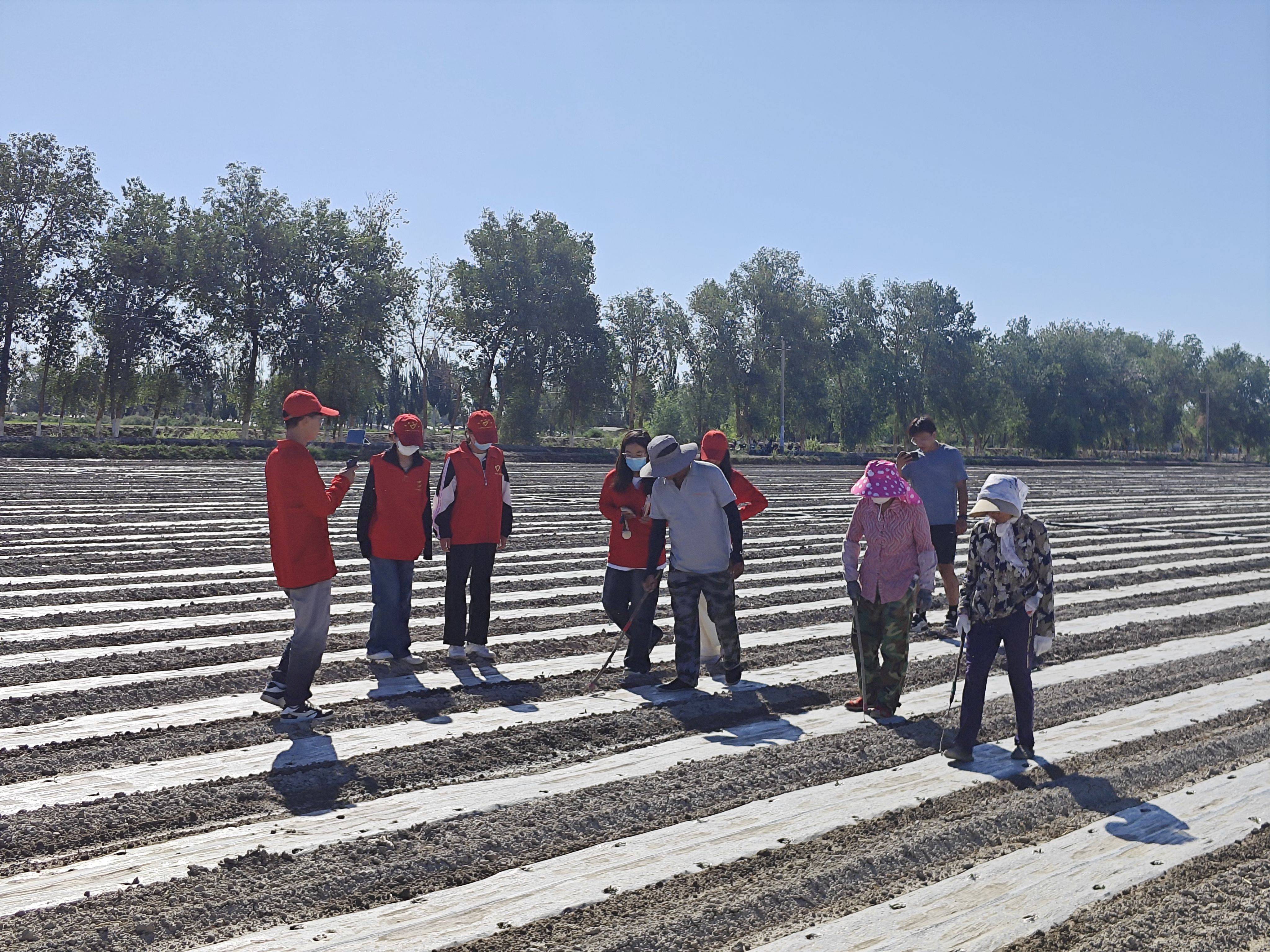 三下乡|田间采访知民情 乡村振兴在路上