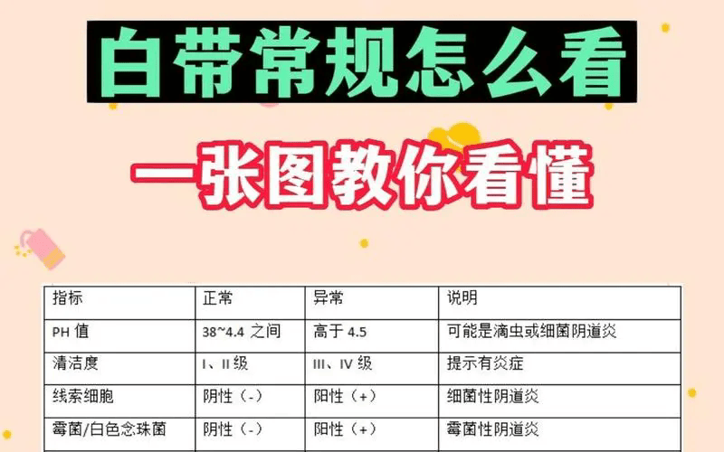 在杭州下沙医院做个白带常规检查多少钱?