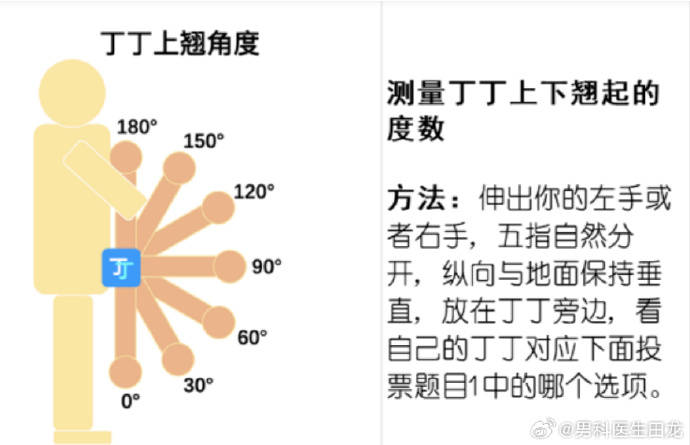 男生丁丁最大向上图片