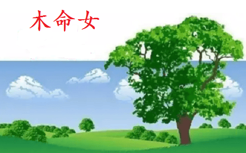 日干木命(女),未来,哪几年姻缘旺