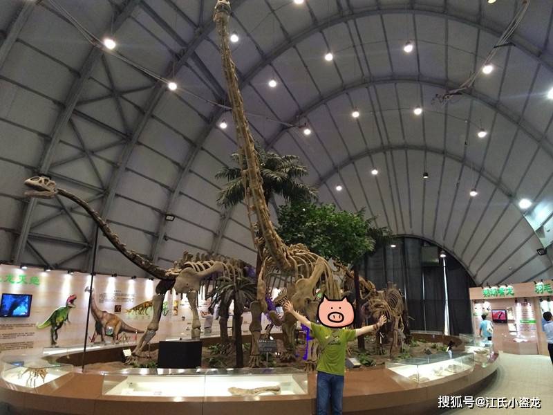 【恐龙王国】白垩纪东北巨龙体长可达20米!_辽宁_化石_巨人