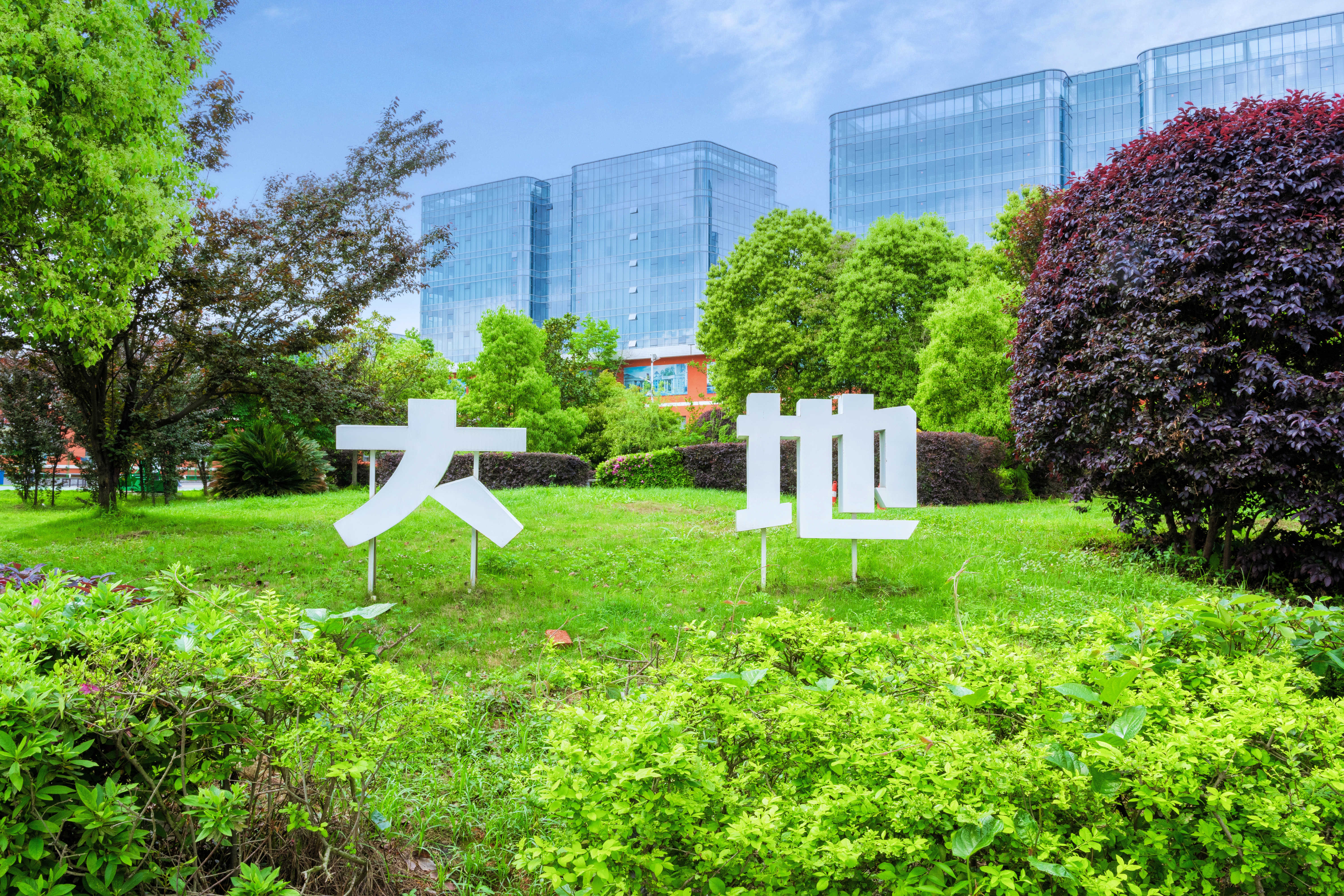 长沙大地艺术培训学校图片