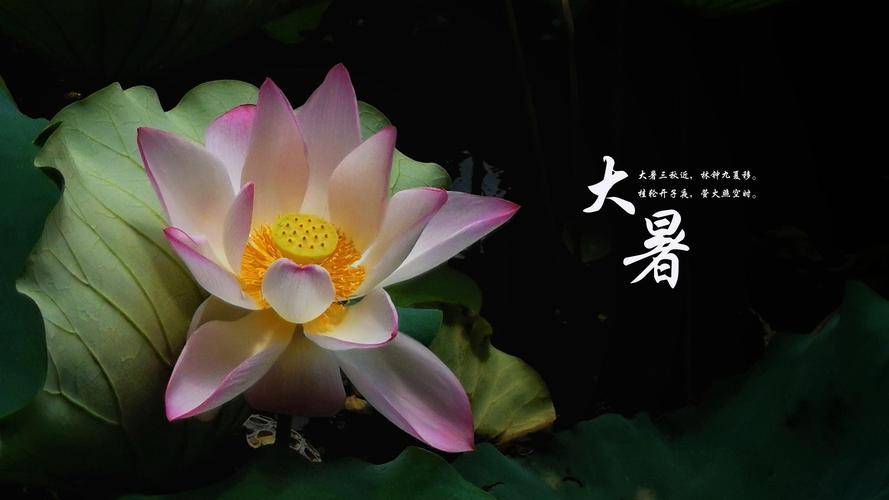 大暑节气，是夏季的最后一个节气-大暑之后的节气是处暑吗