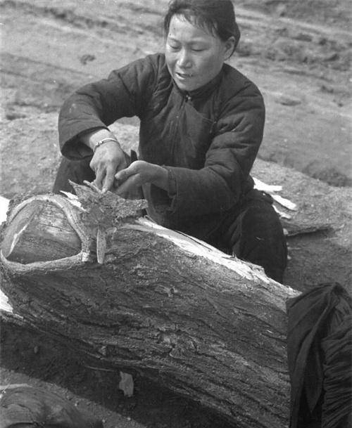 吃树皮,观音土,300万人饿死17万人逃走,1943年广东饥荒有多惨