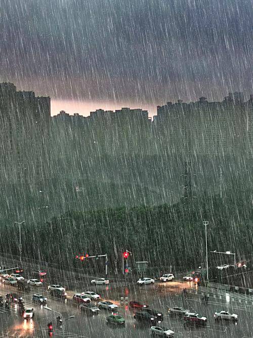 和风细雨∶暴风骤雨图片