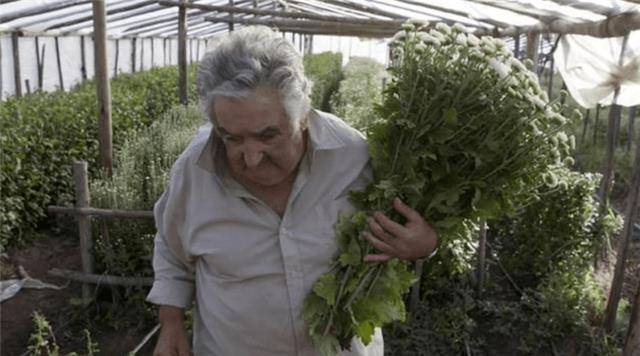 乌拉圭前总统穆希卡：每月生活费仅有1100美元，辞职拒领退休金-乌拉穆旦计划