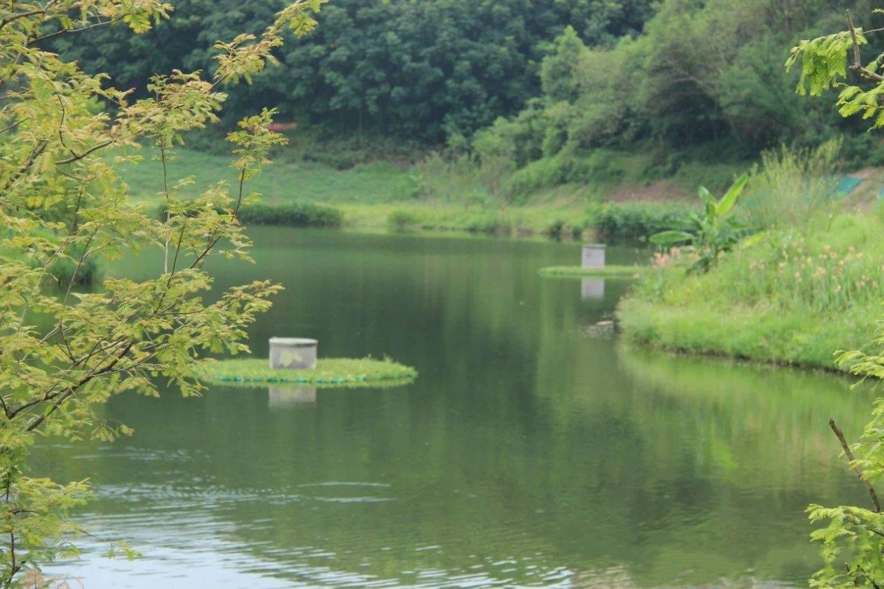 能喝水会呼吸,玉带河公园又有新变化