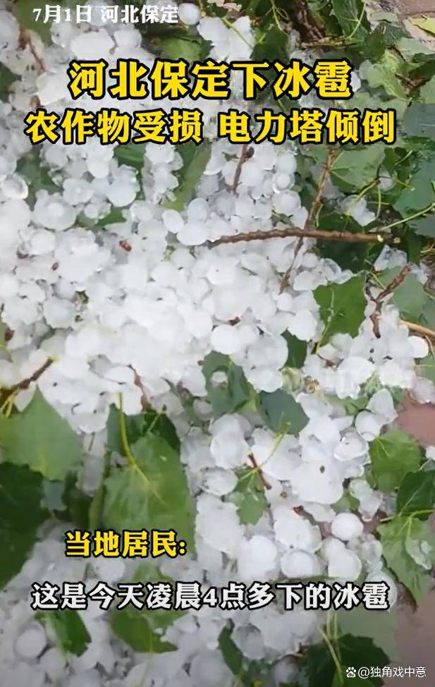 河北保定下鸡蛋大的冰雹:大面积农作物因冰雹受损