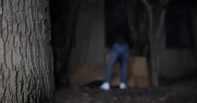 武汉"站街女裸尸案":女子深夜拉客失踪,监控还原真相_赵勇_吴霞_树林