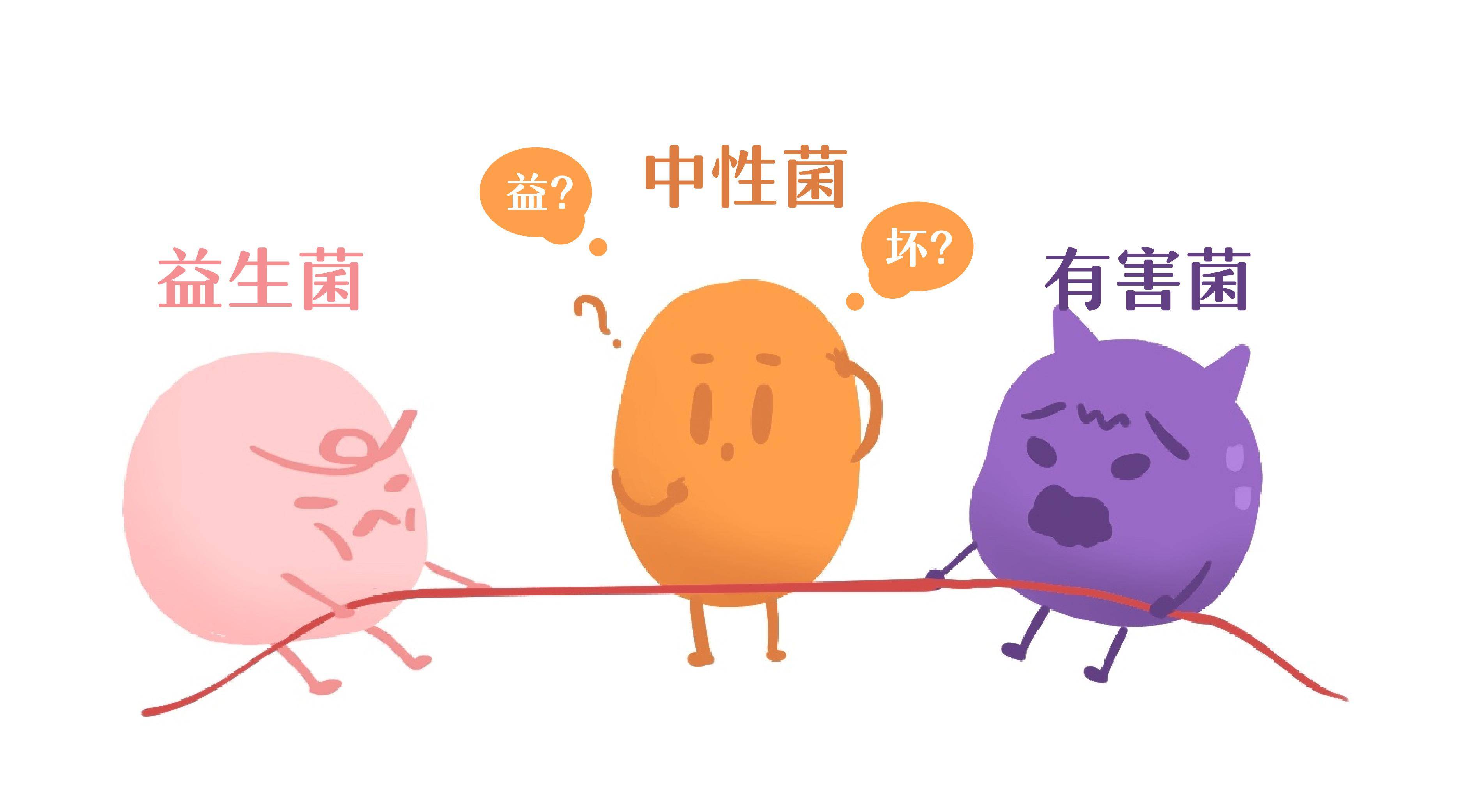 科普|3分钟,带你了解"益生菌"_肠道_人体_胶囊