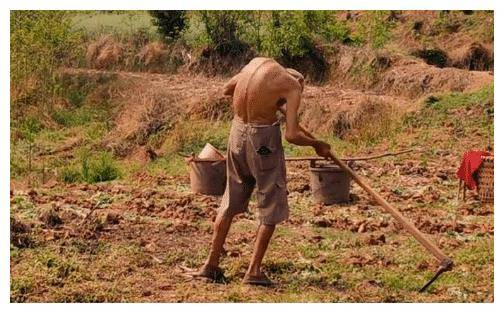 四川一男子回乡遇老人锄地,第一眼网友吓坏继而心酸:让他歇会吧