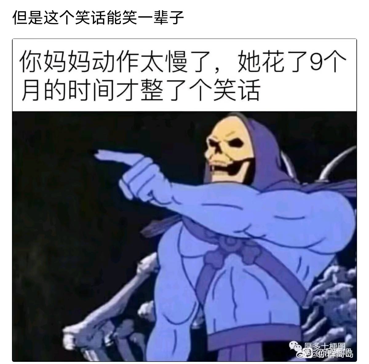 搞笑段子笑死人不偿命的段子搞笑全场,笑岔气别怨我