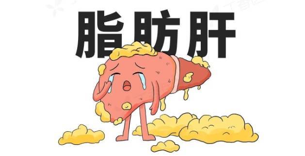 太原龙城中医医院科普:经常饿肚子能治疗脂肪肝?_肝脏_饥饿_饮食