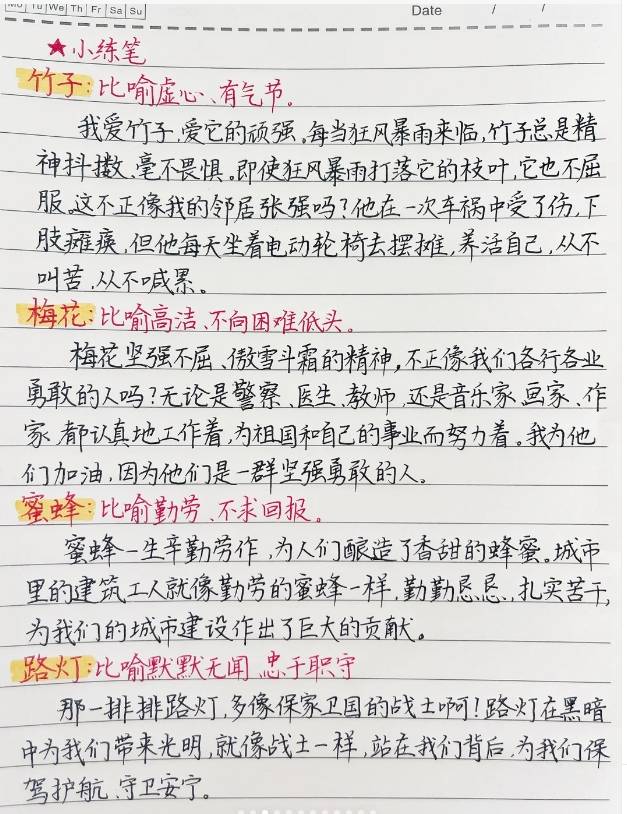 落花生学霸笔记图片图片