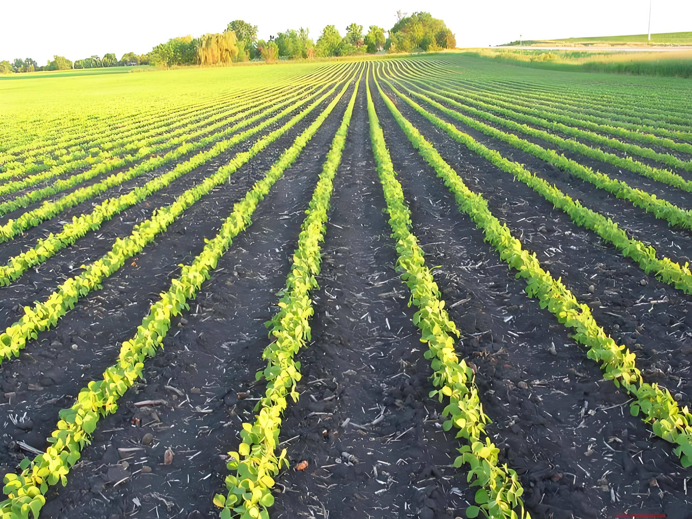 丽水土壤检测机构一览(附2024年土壤检测办理攻略)_服务_污染_市民