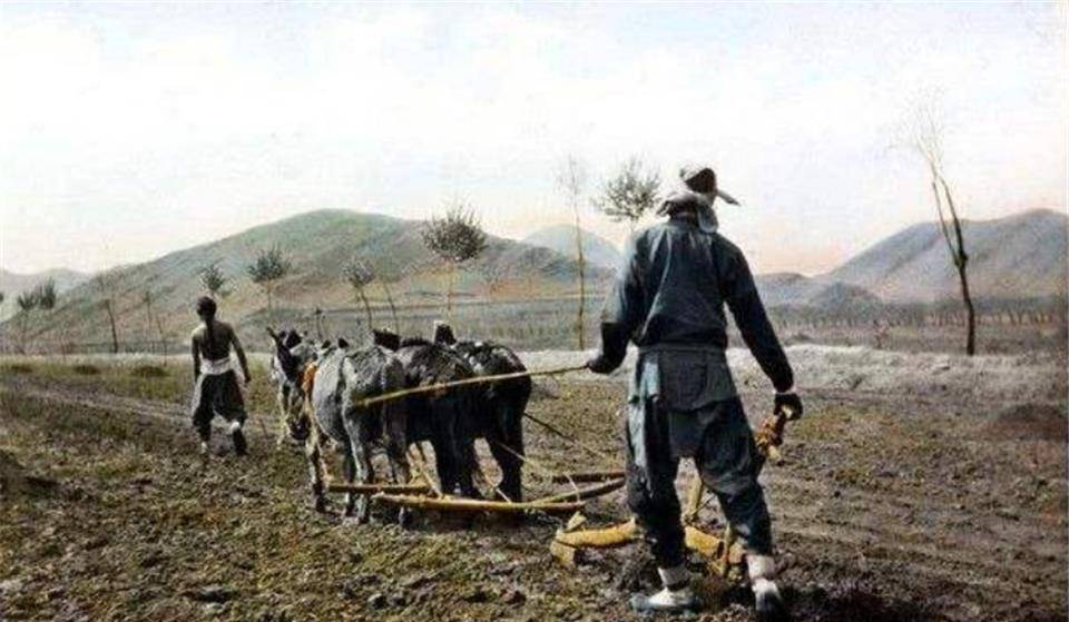 其实,认为清朝农民被所谓地方性生产与消费平衡的自然经济制度束缚于