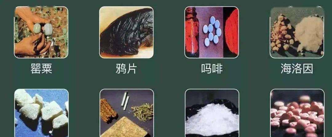 毒品图片资料图片