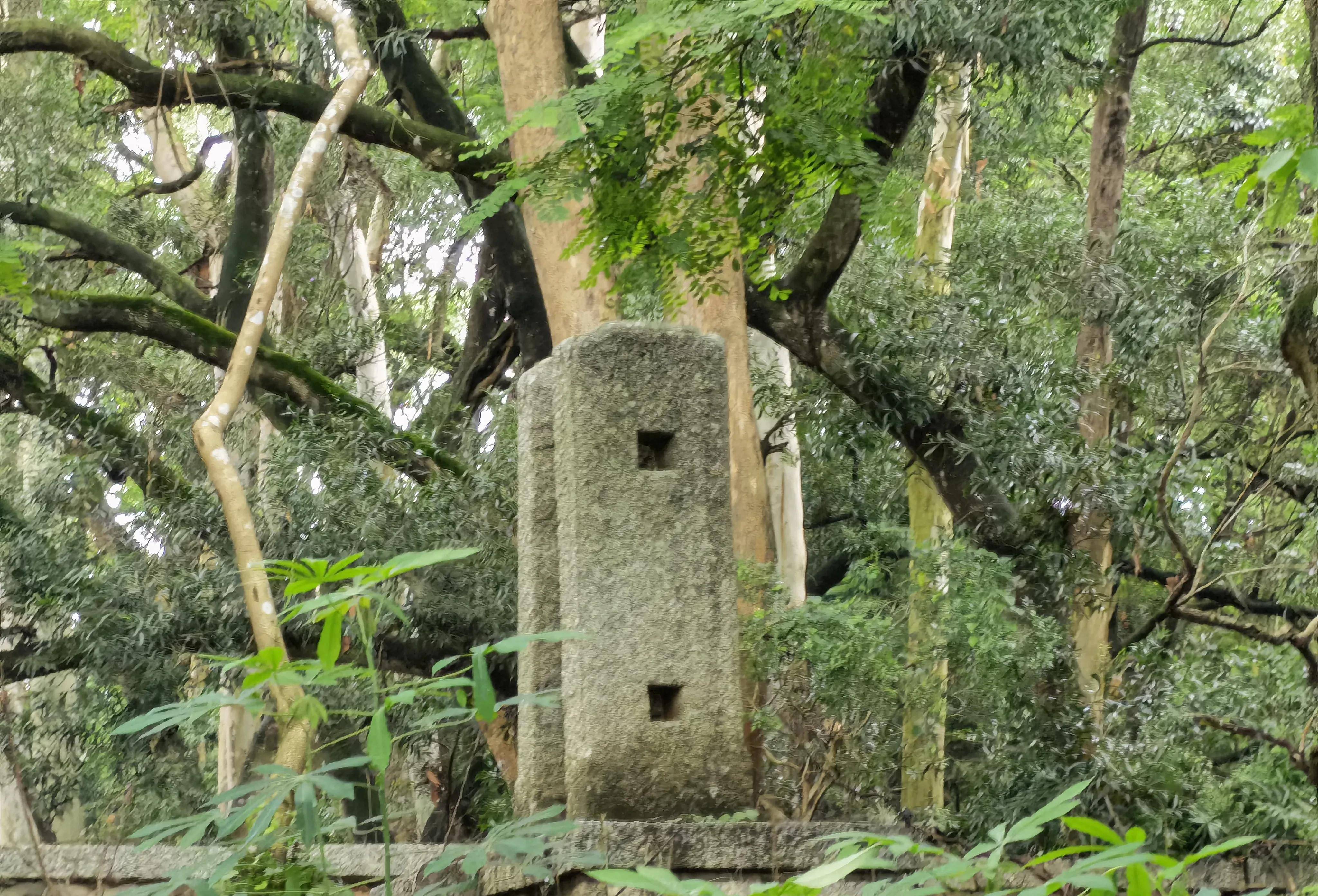 漳州长富山陵园图片