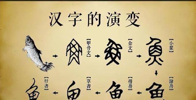 古字的演变图片