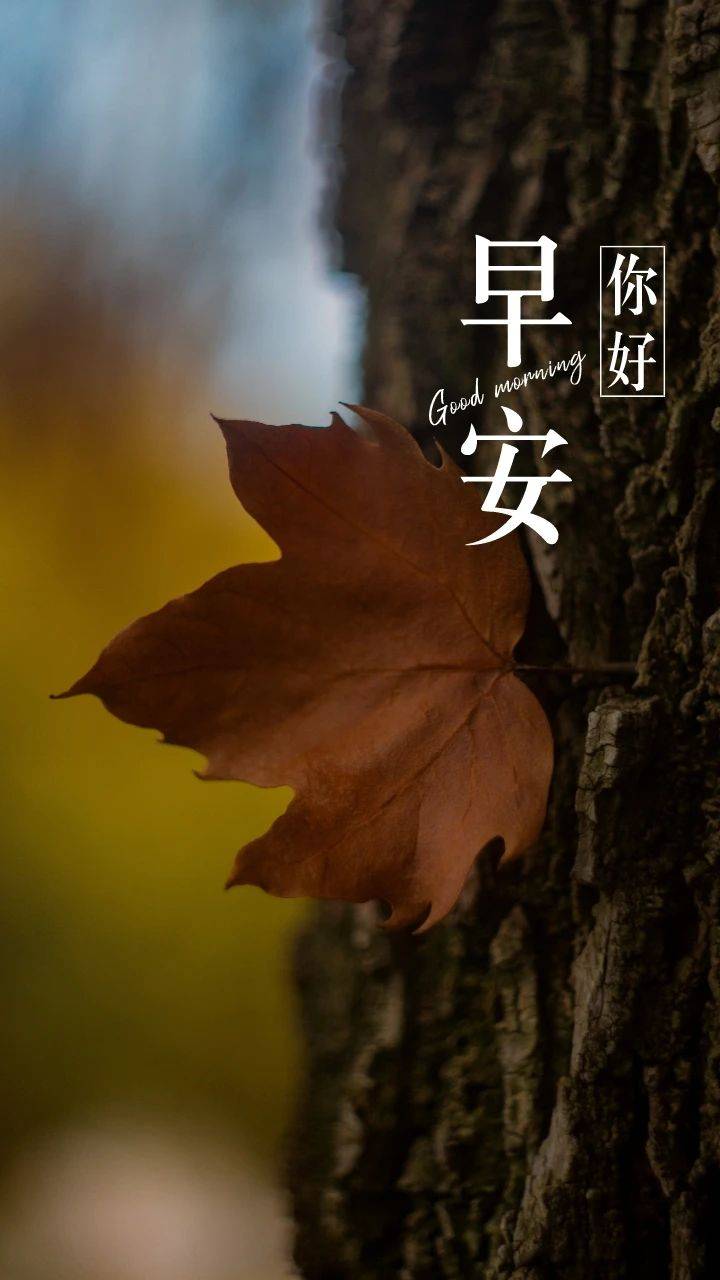 郑州新阳光医院男科早安寄语:认真生活,努力追运,赏沿途风景,自在走