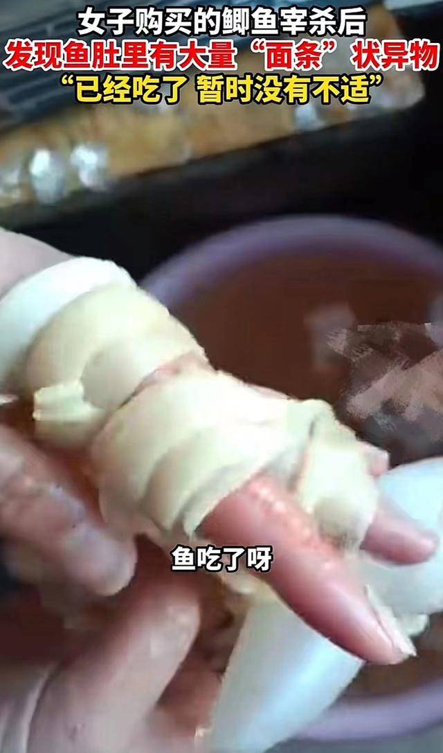 竟在鱼肚子里掏出一把"面条"网友:不能吃_内脏_寄生虫_女士