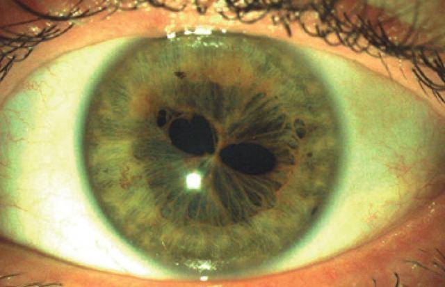 项羽天生异相,眼睛里生出2个瞳孔,曾说出一句话让叔父直冒冷汗